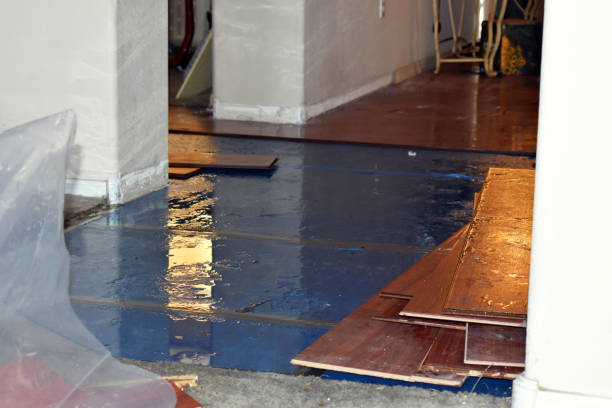 Professional Basement Flood Cleanup technician working in Garden City, MI